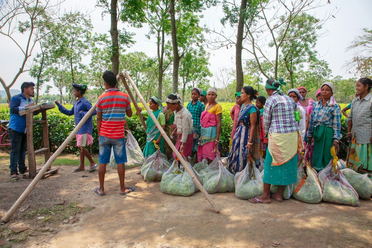 People gathered outdoors near trees with large bags of produce